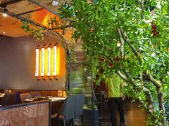 -鼎原力量东北吊炉烧烤(临河街店)