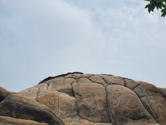 -南山植物园