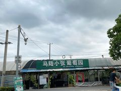 -马陆小张葡萄园农家乐