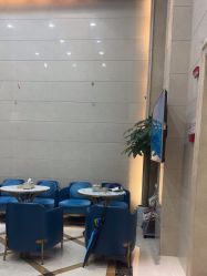 -碧莲盛·不剃发植发