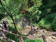 -南山植物园