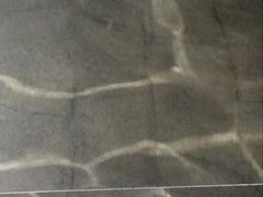 -张之洞与武汉博物馆