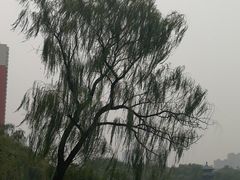 -迎泽公园