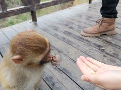 -重庆云阳龙缸景区