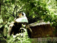 万州婚纱摄影龙摄影【爱在旅途】-龙摄影新人世界(万州店)