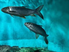 -太平洋海底世界