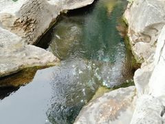 -大海别墅民宿农家院(十渡店)