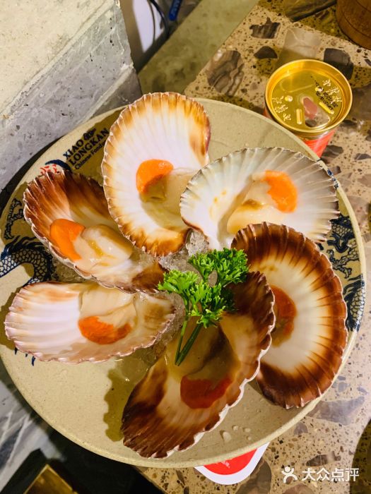 小龙坎老火锅图片