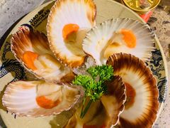 -Xiao Long Kan Hotpot Sydney 小龙坎老火锅
