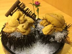 -鲤·鮨KOISUSHI