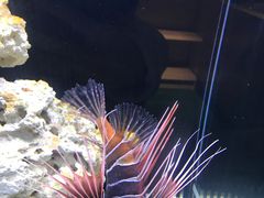 -沈阳海洋探索中心