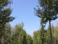 -东郊湿地公园