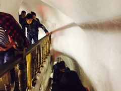 -芦芽山旅游度假区