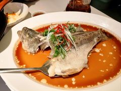 -眉州东坡·熊猫主题餐厅(枫蓝店)
