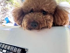 -双龙峡