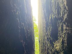 -汤旺河林海奇石景区