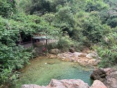 -南海湾森林生态园