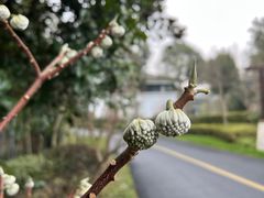 -天目湖涵田度假村