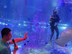 -沈阳海洋探索中心