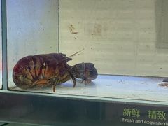 -永辉超市(红旗街万达广场店)