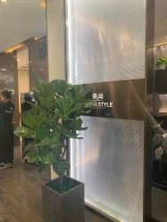 -崇尚GAVIN STYLE臻选