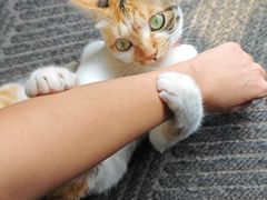 -Again Coffee Roaster(香蜜湖店)