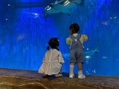 -华夏文旅海洋公园