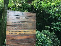 -十八棵（老龙井）御茶园(老龙井店)