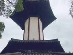 -上海佘山国家森林公园天马山园