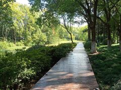 -昆山城市生态森林公园