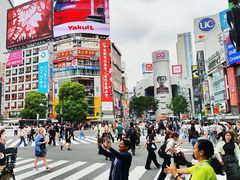 -涩谷全向十字路口