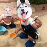 探|大学城藏匿不朽文明地