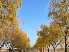 -野鸭湖国家湿地公园