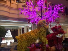 -都喜天丽富都青枫苑酒店-青枫小筑