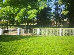 -外高桥保税区南(地铁站)