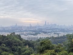 -火炉山森林公园