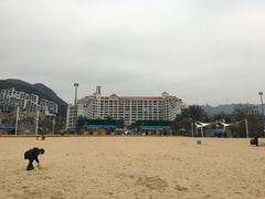 -五谷芳乳鸽王（大梅沙总店C区）(网红打卡店)