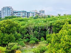 -霞山观海长廊