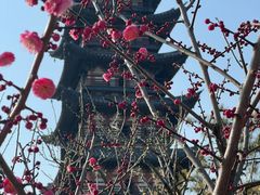 -上海方塔园