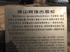 -南京钟山宾馆(江苏省会议中心)