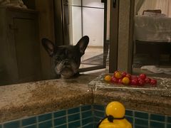 -春晖园度假酒店温泉