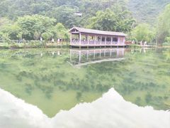 -靖西鹅泉风景区