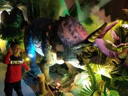 -恐龙探索乐园(磁器口店)