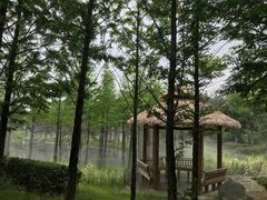 -南京银杏湖乐园