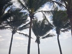 -三亚海棠湾仁恒皇冠假日酒店·大堂吧