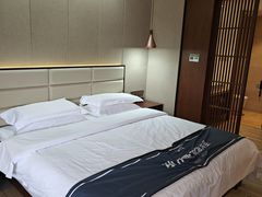 -明月山天沐温泉度假村