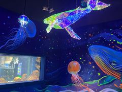 -顺德南宏海立方海洋公园