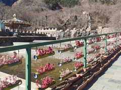 -京东石林峡风景区