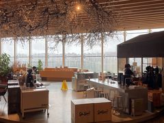 -Seesaw Coffee(朝阳大悦城店)