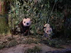 -天津自然博物馆